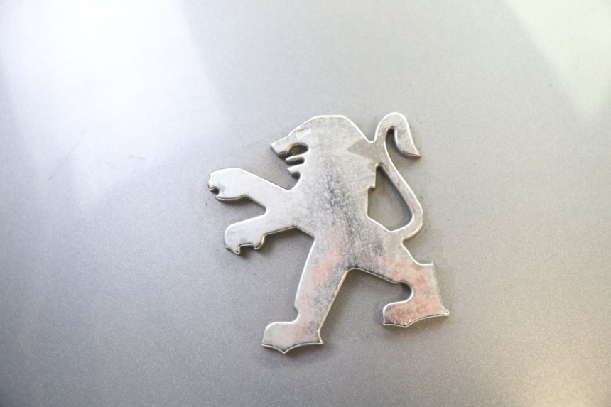 photo de CARENA POSTERIORE CONGIUNZIONE PEUGEOT SATELIS 250 (2006 - 2012)