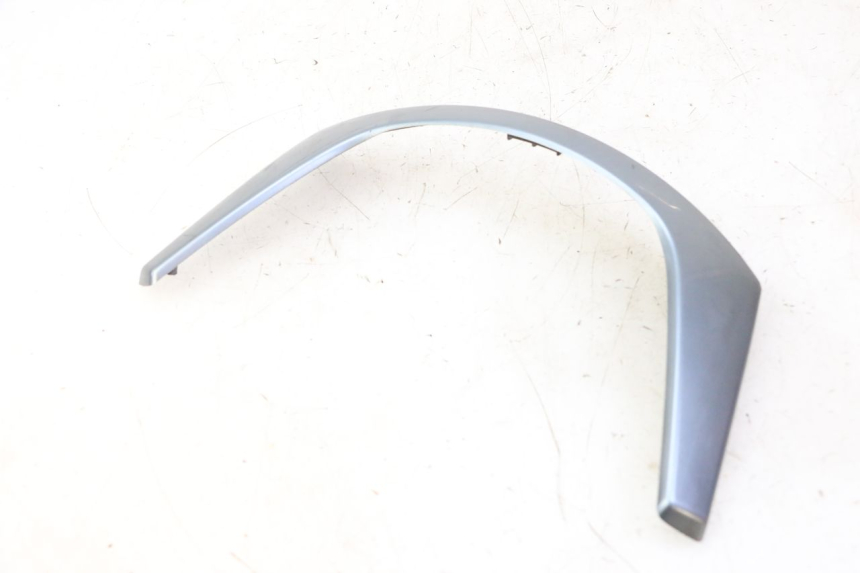 photo de CARENA ANTERIORE CONGIUNZIONE DAELIM HISTORY 125 (2001 - 2002)