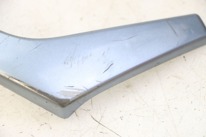 photo de CARENA ANTERIORE CONGIUNZIONE DAELIM HISTORY 125 (2001 - 2002)