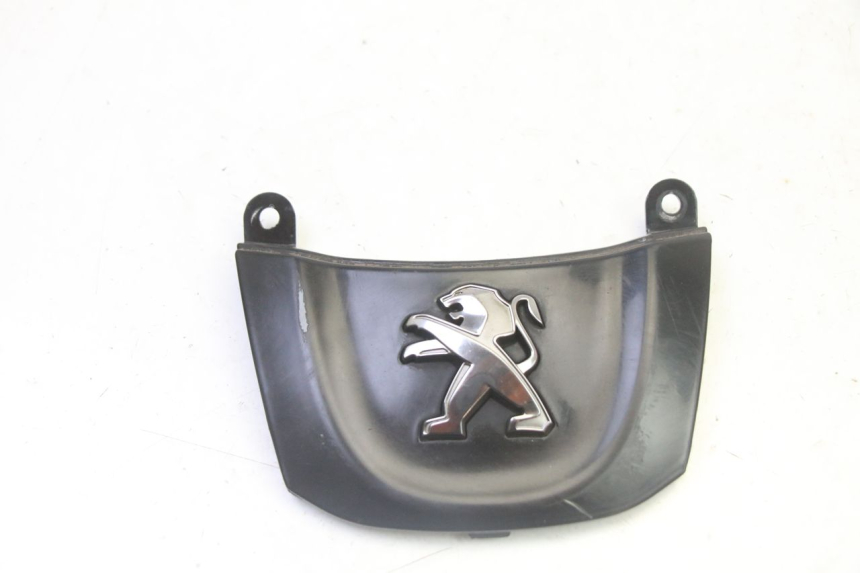 photo de CARENA ANTERIORE CONGIUNZIONE PEUGEOT TWEET 4T 50 (2018 - 2020)