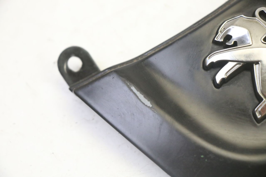 photo de CARENA ANTERIORE CONGIUNZIONE PEUGEOT TWEET 4T 50 (2018 - 2020)