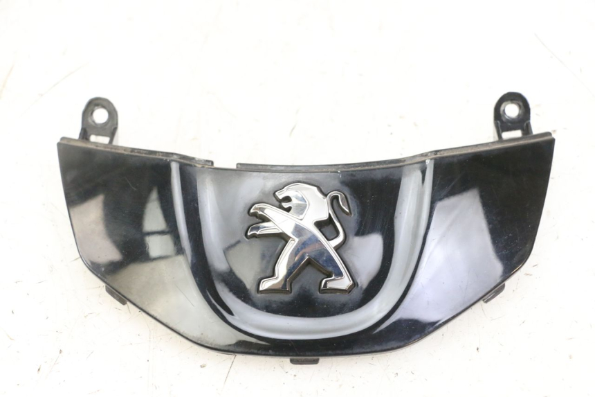 photo de CARENA ANTERIORE CONGIUNZIONE PEUGEOT TWEET PRO CARGO 50 (2018 - 2020) - Vista principale