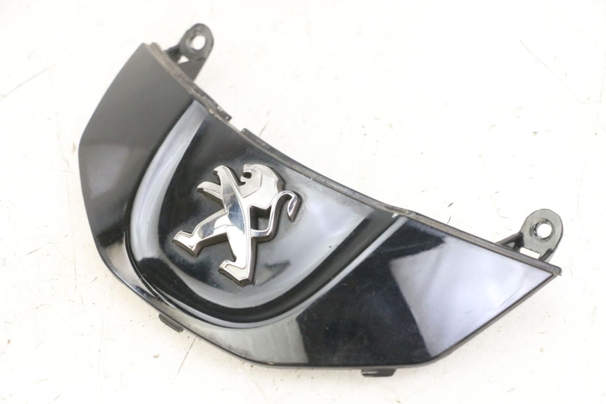 photo de CARENA ANTERIORE CONGIUNZIONE PEUGEOT TWEET PRO CARGO 50 (2018 - 2020) - Altra angolazione