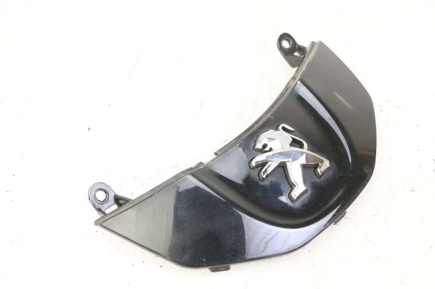 photo de CARENA ANTERIORE CONGIUNZIONE PEUGEOT TWEET PRO CARGO 50 (2018 - 2020) - Primo piano tecnico