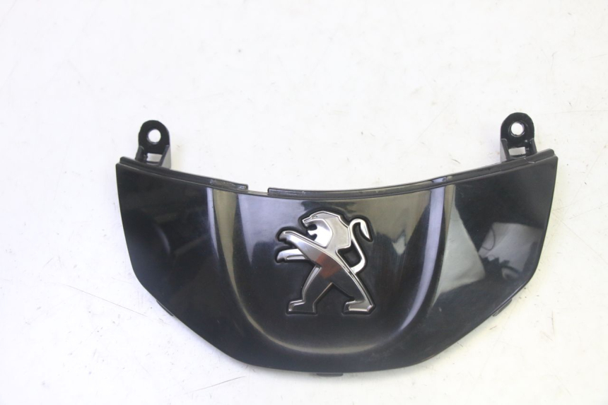 photo de CARENA ANTERIORE CONGIUNZIONE PEUGEOT TWEET PRO CARGO 50 (2018 - 2020)