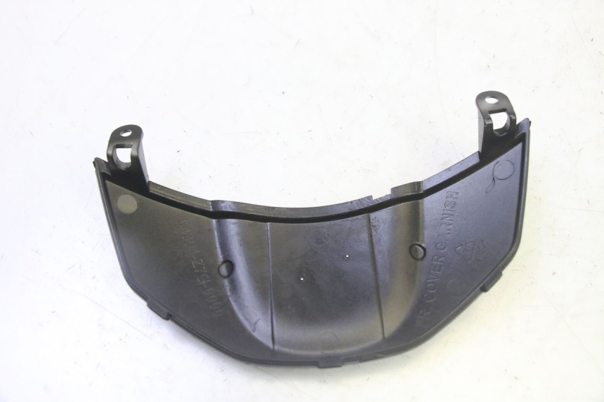 photo de CARENA ANTERIORE CONGIUNZIONE PEUGEOT TWEET PRO CARGO 50 (2018 - 2020)