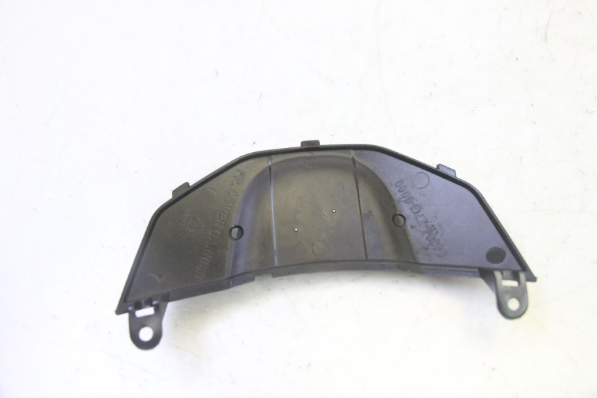 photo de CARENA ANTERIORE CONGIUNZIONE PEUGEOT TWEET PRO CARGO 50 (2018 - 2020)