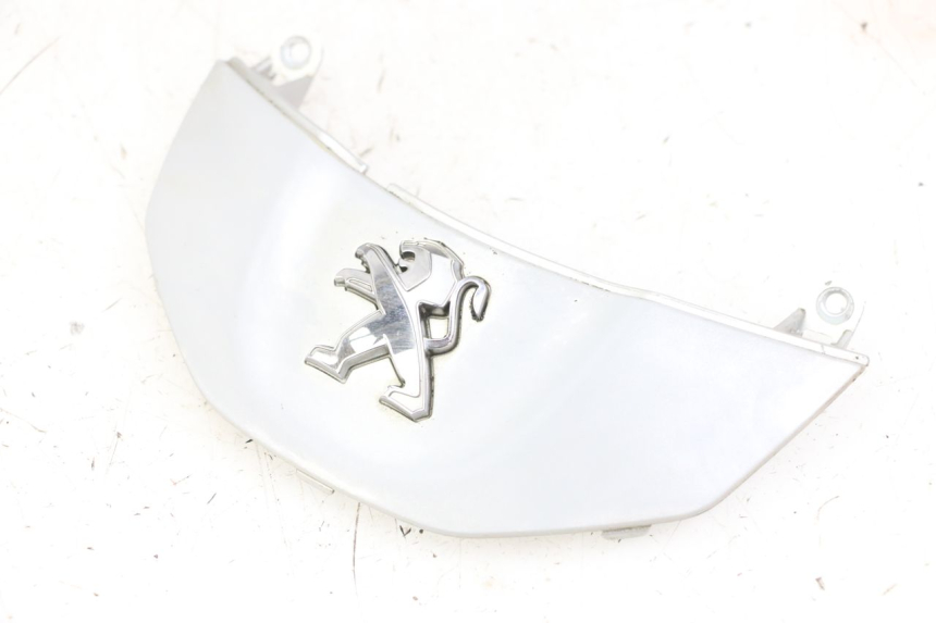 photo de CARENA ANTERIORE CONGIUNZIONE PEUGEOT TWEET 4T 50 (2014 - 2019)