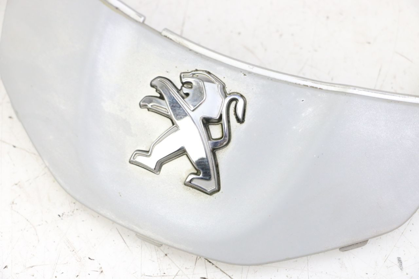 photo de CARENA ANTERIORE CONGIUNZIONE PEUGEOT TWEET 4T 50 (2014 - 2019)