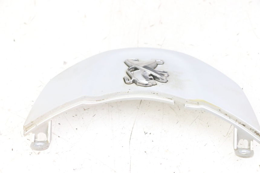 photo de CARENA ANTERIORE CONGIUNZIONE PEUGEOT TWEET 4T 50 (2014 - 2019)