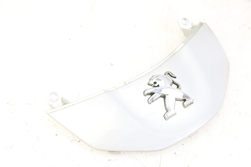 photo de CARENA ANTERIORE CONGIUNZIONE PEUGEOT TWEET 4T 50 (2014 - 2019)