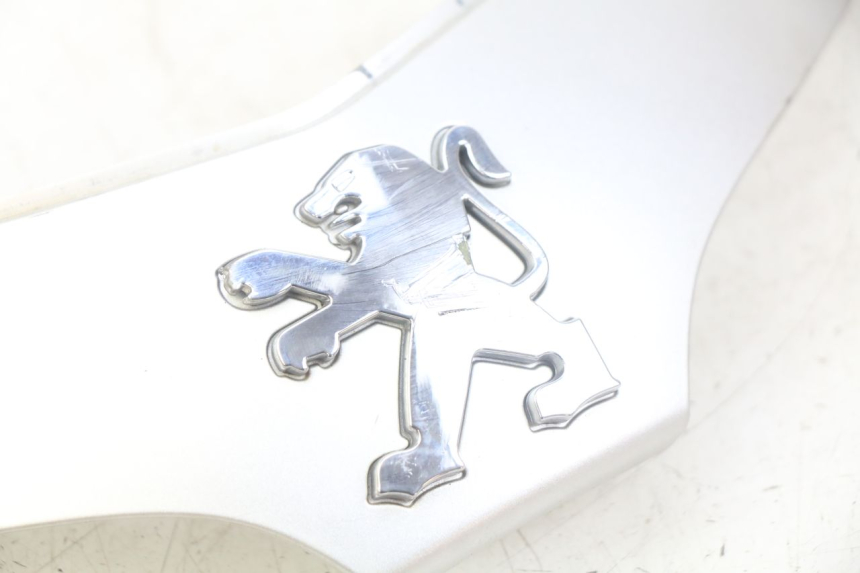 photo de GIUNZIONE CARENA ANTERIORE PEUGEOT TWEET 4T 50 (2010 - 2014)