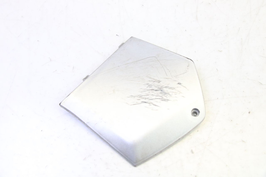 photo de CARENA PEDANA CONGIUNZIONE DESTRA PIAGGIO MP3 RL 250 (2007 - 2010)