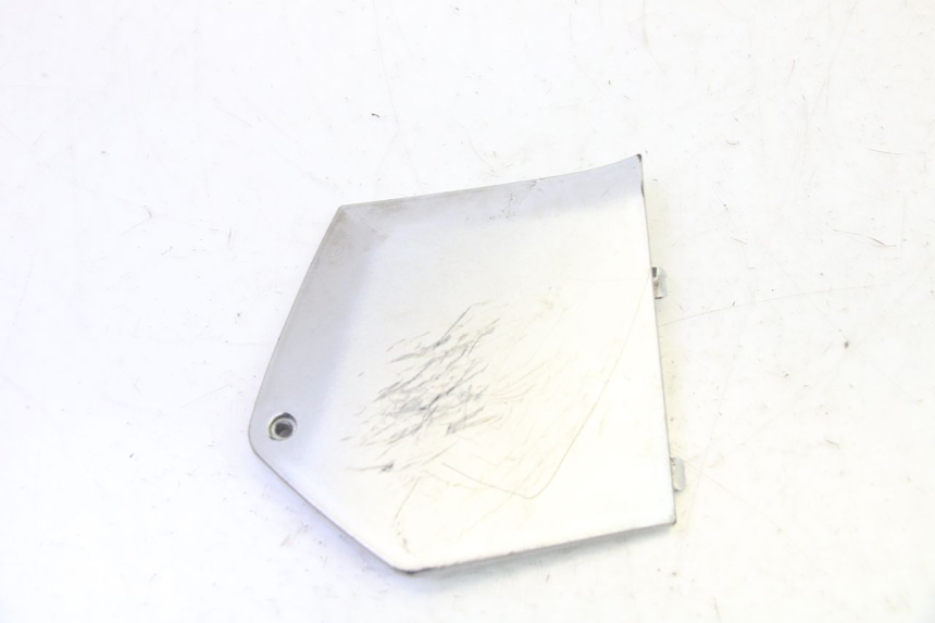 photo de CARENA PEDANA CONGIUNZIONE DESTRA PIAGGIO MP3 RL 250 (2007 - 2010)