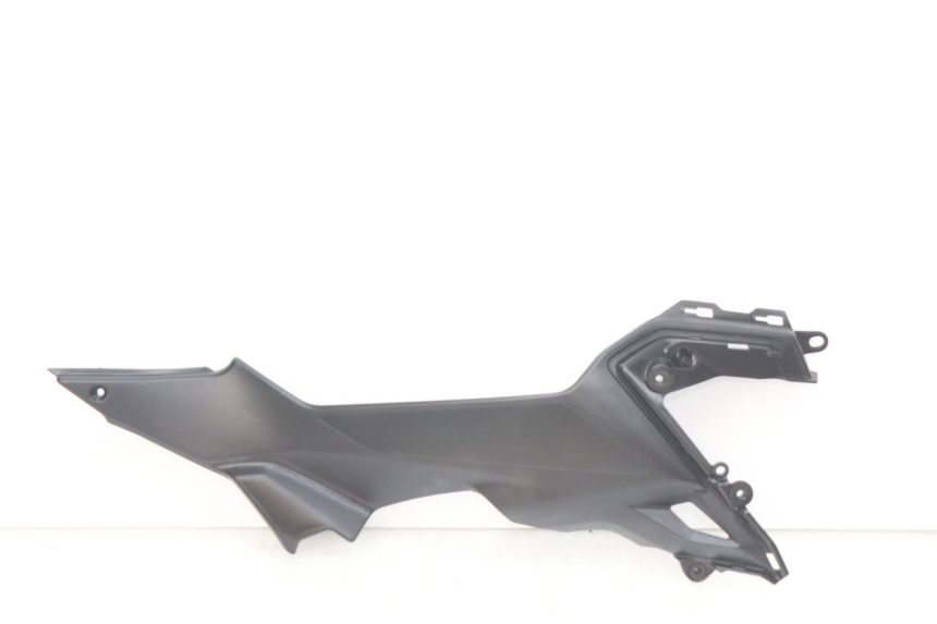 photo de GIUNZIONE PEDANA DESTRA KAWASAKI Z 650 (2016 - 2019)