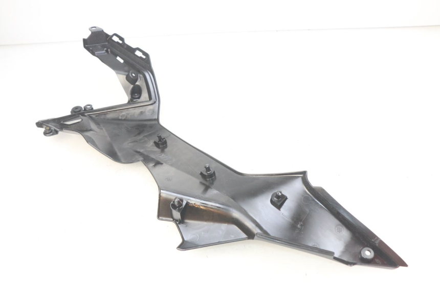 photo de GIUNZIONE PEDANA DESTRA KAWASAKI Z 650 (2016 - 2019)