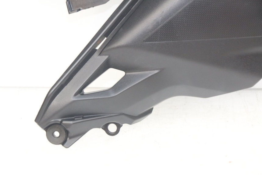 photo de GIUNZIONE PEDANA SINISTRA KAWASAKI Z 650 (2016 - 2019)