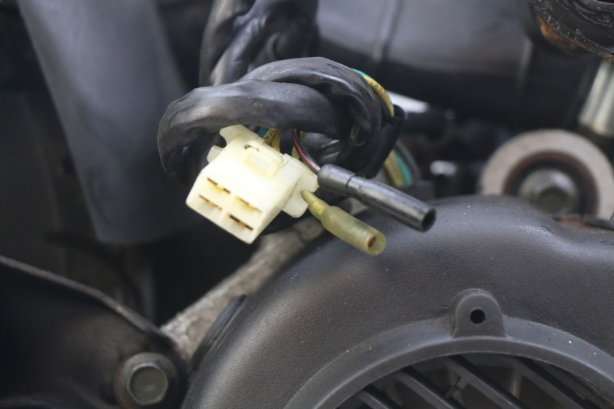 photo de MOTORE WILDLANDER BISCUIT 125 (2004 - 2010)