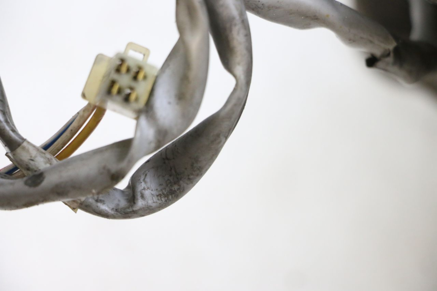 photo de MOTORE YAMAHA BW'S EASY 50 (2013 - 2016) - Dettaglio del componente