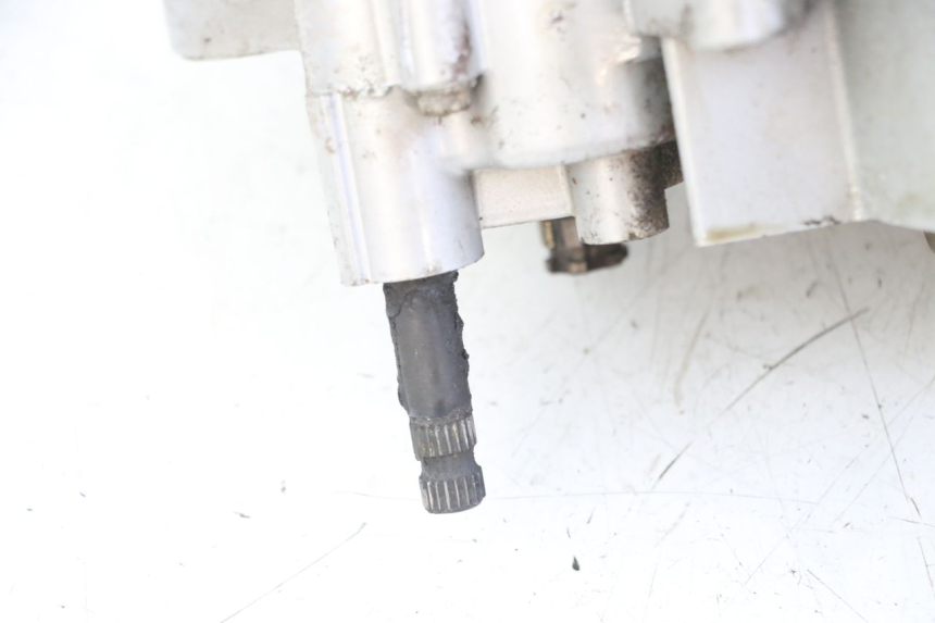 photo de MOTORE DERBI SENDA R X-TREME 50 (2006 - 2010)