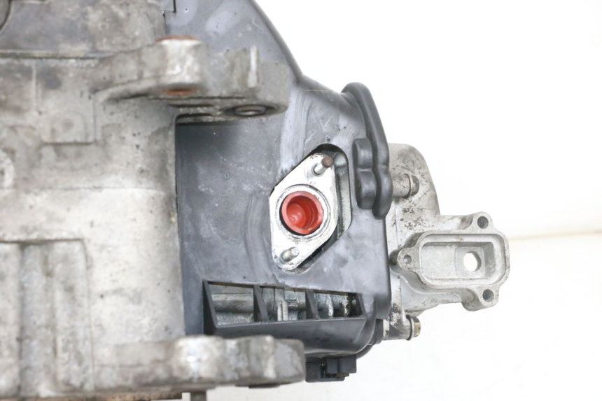 photo de MOTORE PEUGEOT DJANGO 4T 50 (2014 - 2019) - Primo piano tecnico