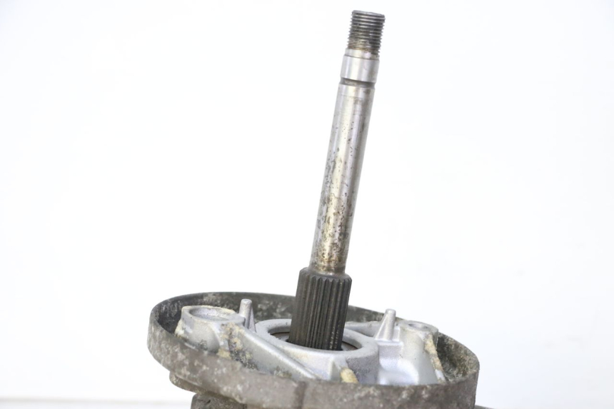 photo de MOTORE HONDA FES S-WING SWING ABS 125 (2007 - 2015)