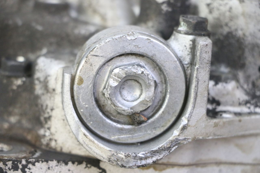 photo de MOTORE HONDA FES S-WING SWING ABS 125 (2007 - 2015)