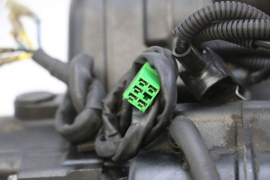 photo de MOTORE STAHO FH 50 (2018 - 2019)