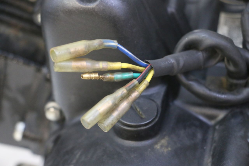 photo de MOTORE STAHO FH 50 (2018 - 2019)