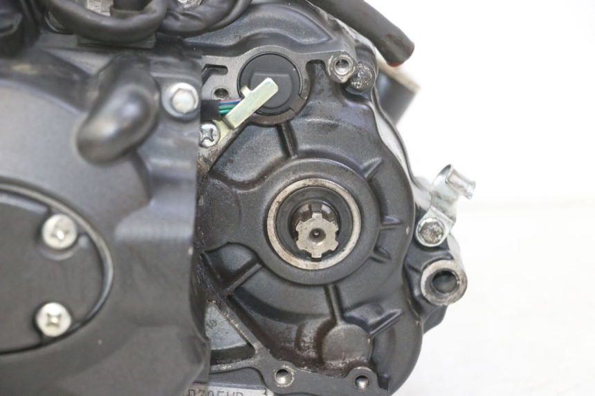 photo de MOTORE STAHO FH 50 (2018 - 2019)