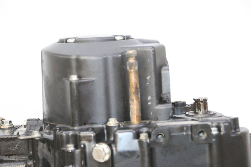 photo de MOTORE STAHO FH 50 (2018 - 2019)