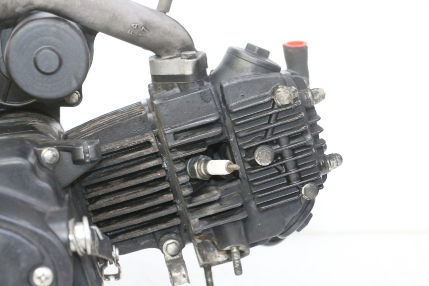 photo de MOTORE STAHO FH 50 (2018 - 2019)