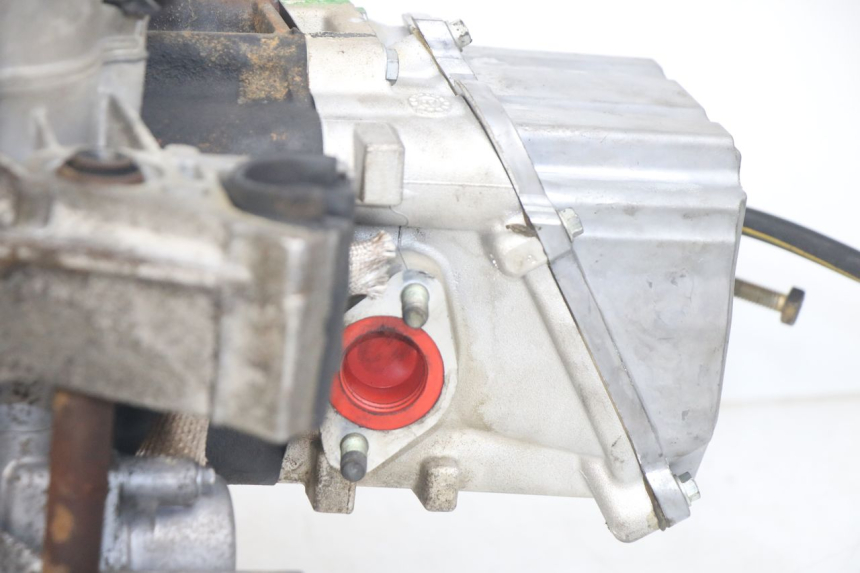 photo de MOTORE PEUGEOT GEOPOLIS RS 125 (2007 - 2009)