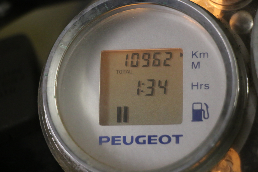 photo de MOTORE PEUGEOT GEOPOLIS RS 125 (2007 - 2009)