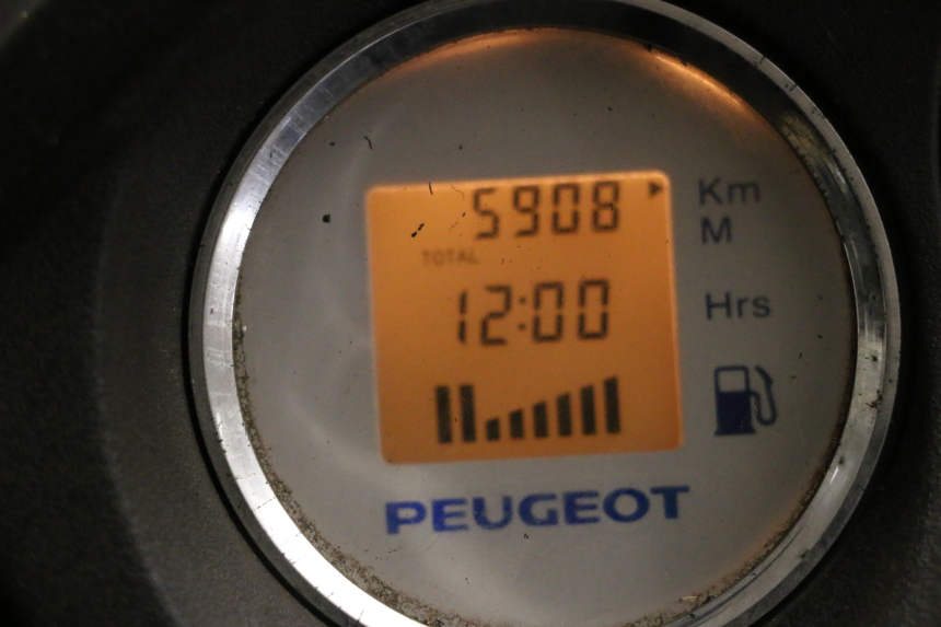 photo de MOTORE PEUGEOT GEOPOLIS RS 125 (2007 - 2009)