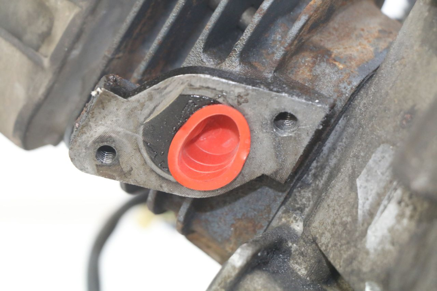 photo de MOTORE TNT MOTOR GRIDO 2T 50 (2010 - 2019)