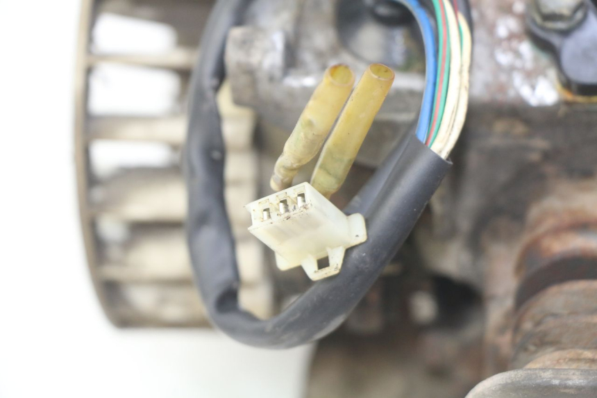 photo de MOTORE TNT MOTOR GRIDO 2T 50 (2010 - 2019)