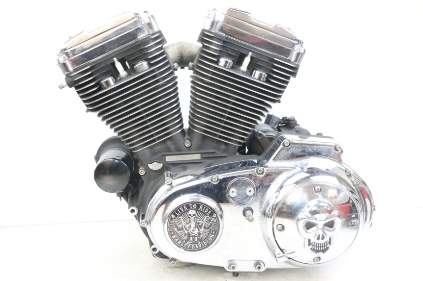 photo de MOTORE HARLEY DAVIDSON SPORTSTER XL CUSTOM 1200 (2003 - 2004)