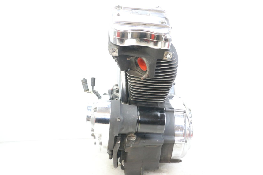 photo de MOTORE HARLEY DAVIDSON SPORTSTER XL CUSTOM 1200 (2003 - 2004)