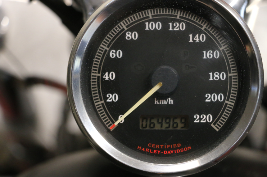 photo de MOTORE HARLEY DAVIDSON SPORTSTER XL CUSTOM 1200 (2003 - 2004)