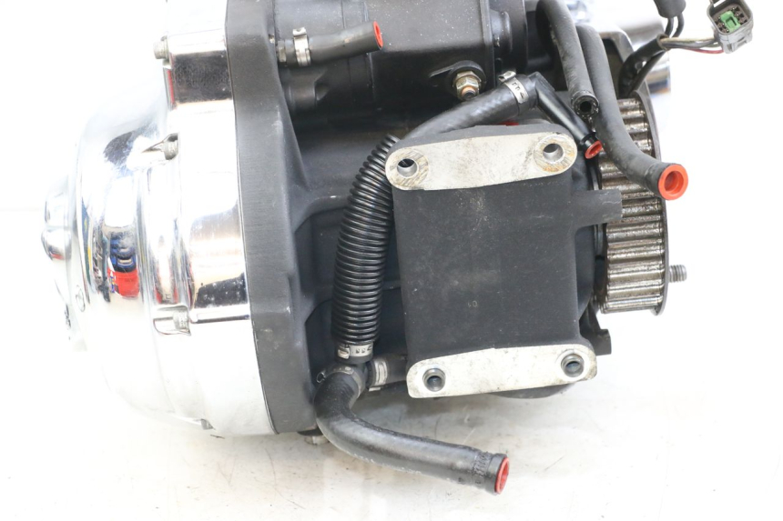 photo de MOTORE HARLEY DAVIDSON SPORTSTER XL CUSTOM 1200 (2003 - 2004)