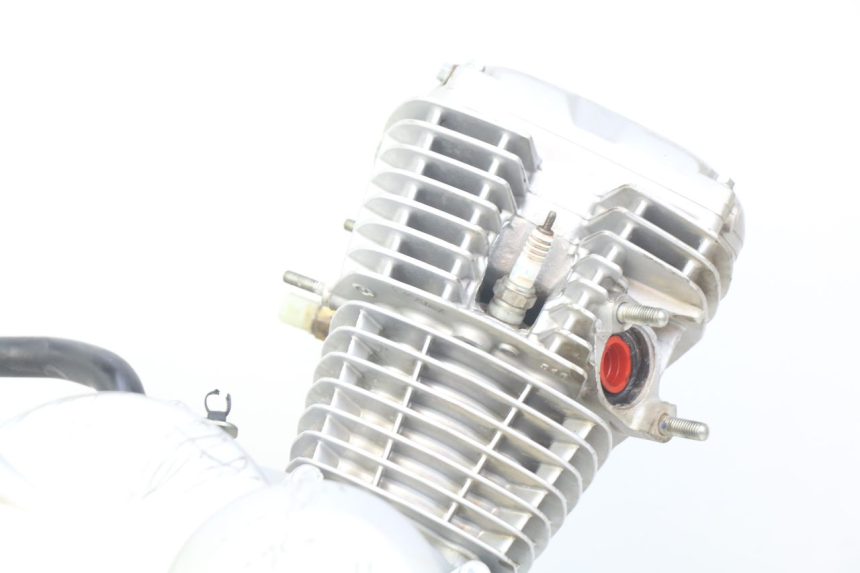 photo de MOTORE HONDA CRF CR-F 125 (2022 - 2023)