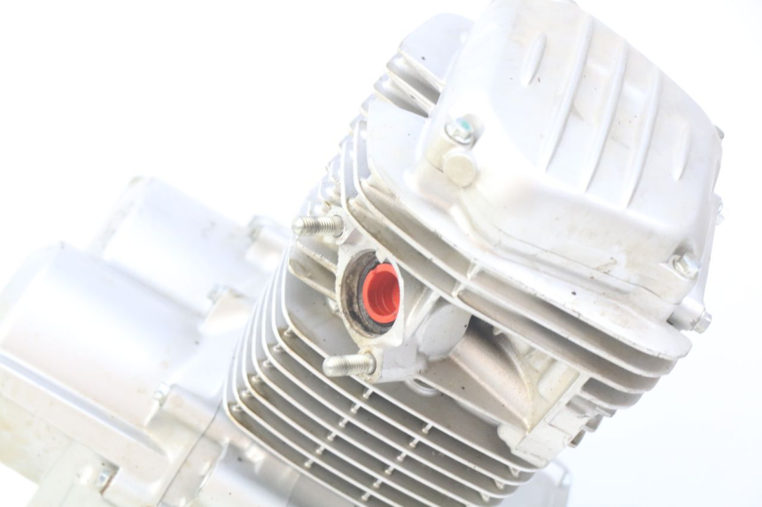 photo de MOTORE HONDA CRF CR-F 125 (2022 - 2023)