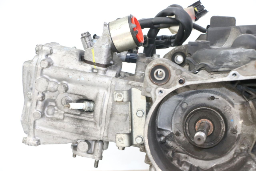 photo de MOTORE HONDA FORZA 125 (2021 - 2025)