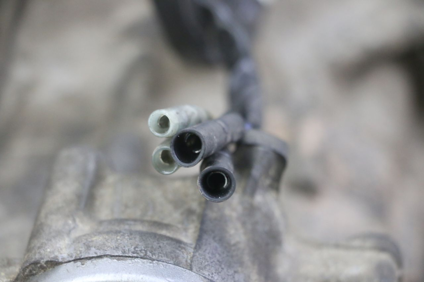 photo de MOTORE HONDA SCV LEAD 100 (2003 - 2007)