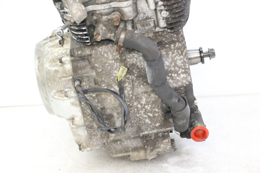 photo de MOTORE HONDA VT C2 SHADOW 750 (1997 - 2001)