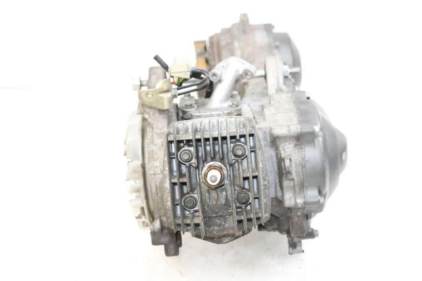 photo de MOTORE HONDA WALLAROO DX 50 (1993 - 1996)