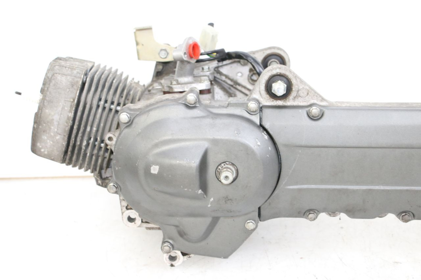 photo de MOTORE HONDA WALLAROO DX 50 (1993 - 1996)