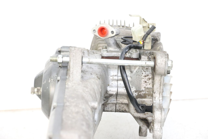 photo de MOTORE HONDA WALLAROO DX 50 (1993 - 1996)