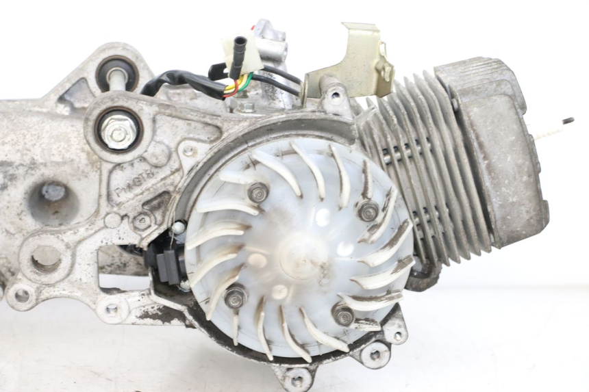photo de MOTORE HONDA WALLAROO DX 50 (1993 - 1996)